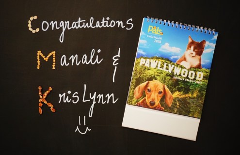 272608C5-6834-461B-9337-E9DB15358FA5