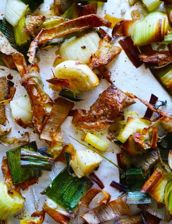 Close Up Vertical Cropped